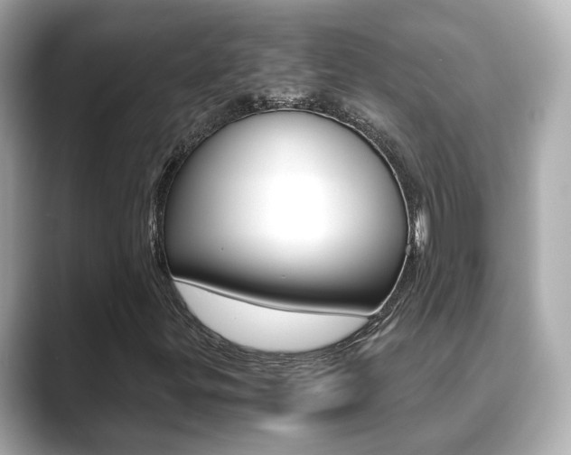 X0000089691299200706210826