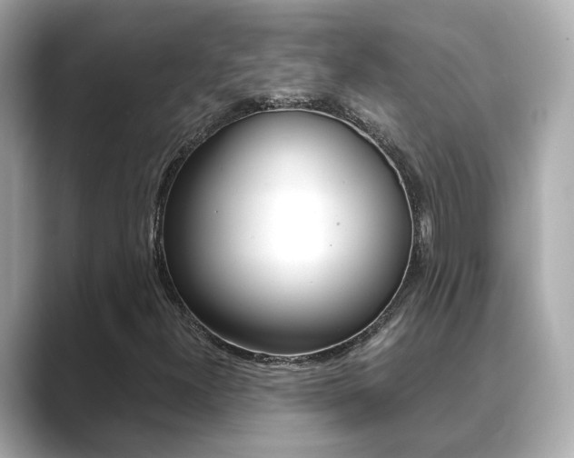 X0000089691300200706210826