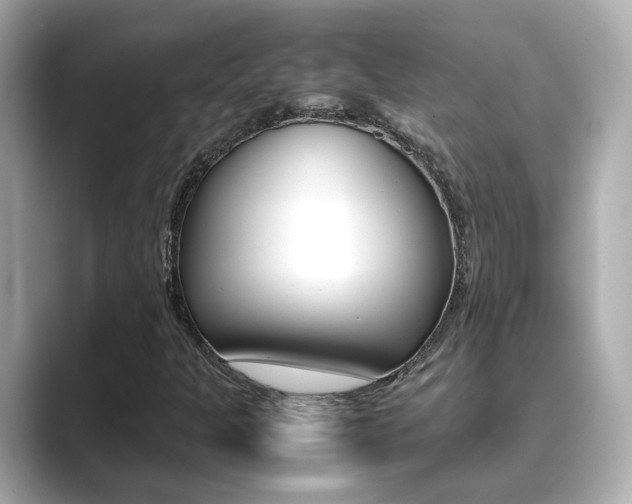 X0000089691301200706210826