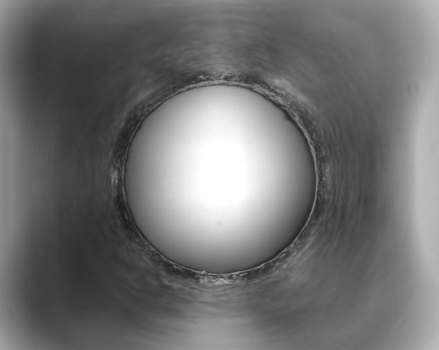 X0000089691302200706210826