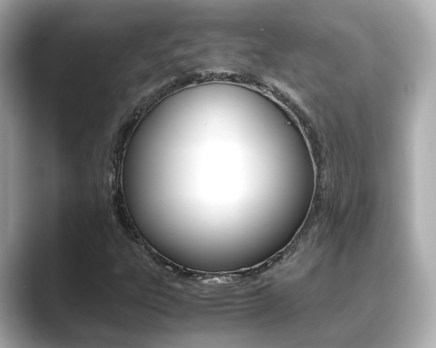 X0000089691303200706210826