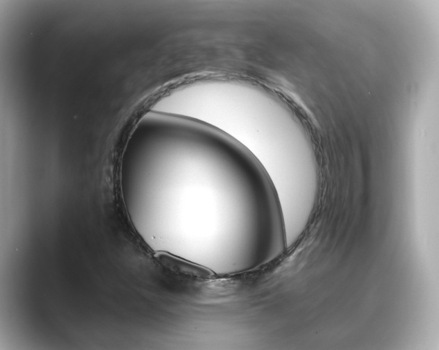 X0000089691304200706210826