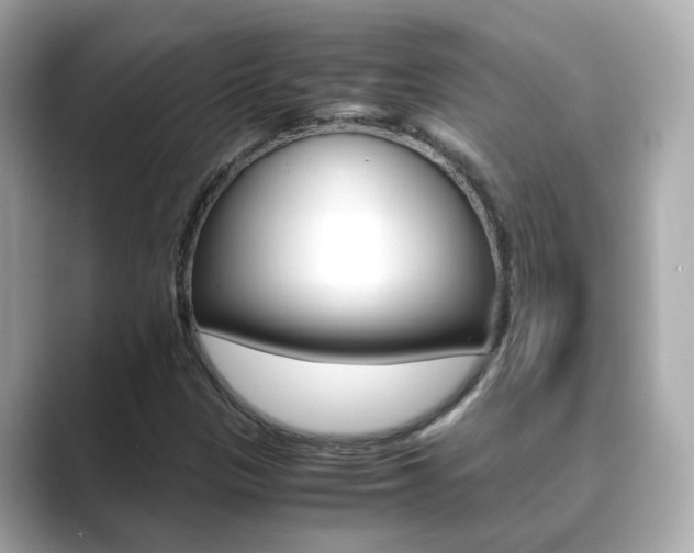X0000089691305200706210826