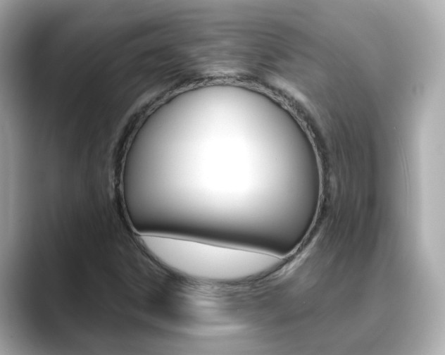 X0000089691306200706210826