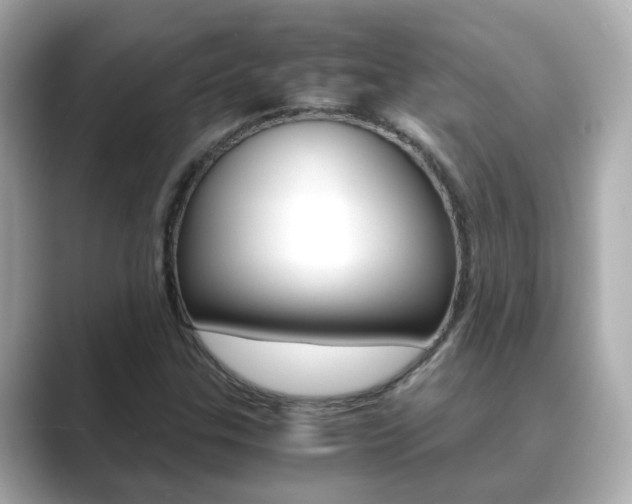 X0000089691307200706210826