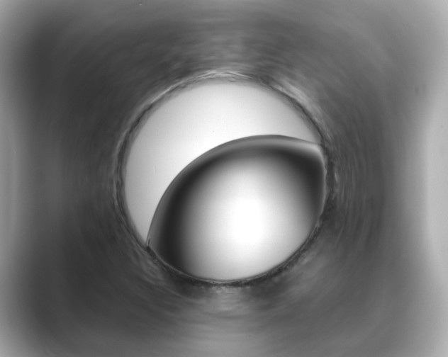X0000089691308200706210826