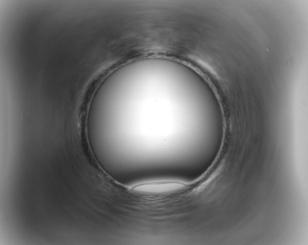 X0000089691309200706210826