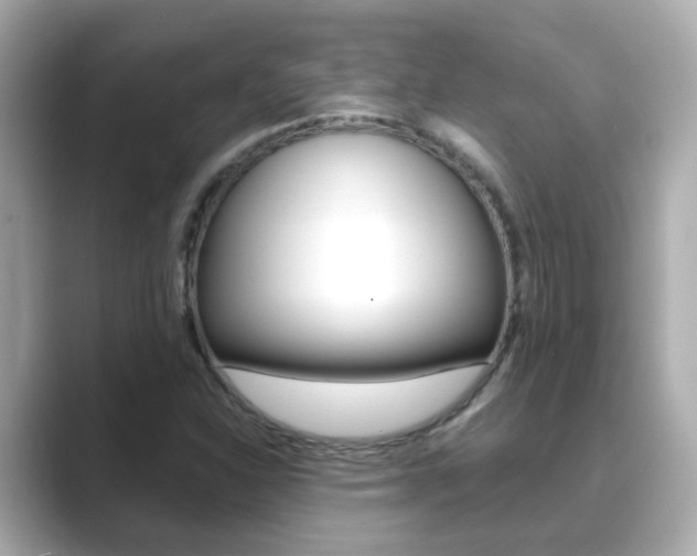 X0000089691310200706210826