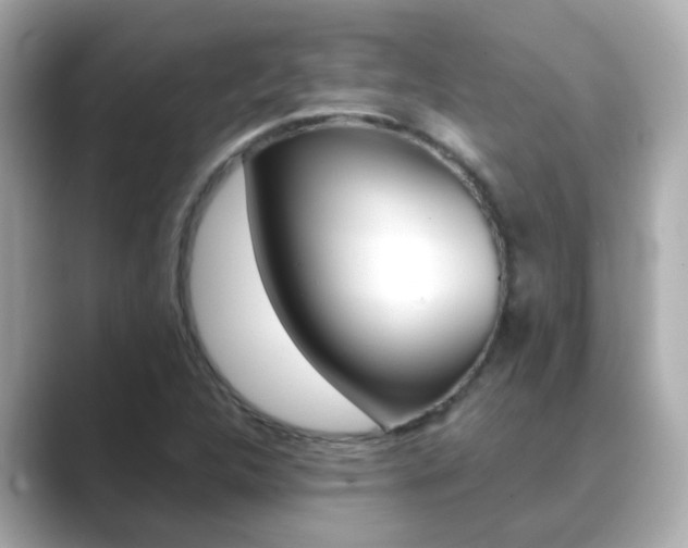 X0000089691312200706210826