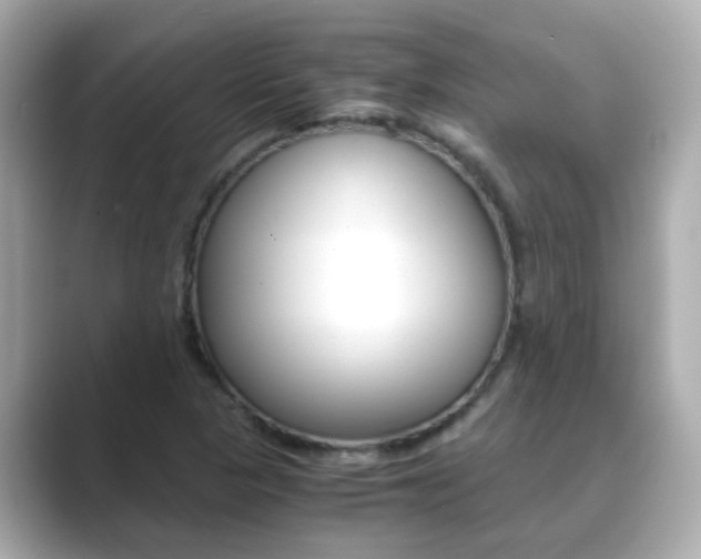 X0000089691313200706210826