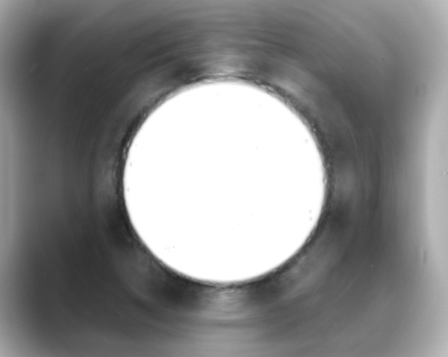 X0000089691314200706210826