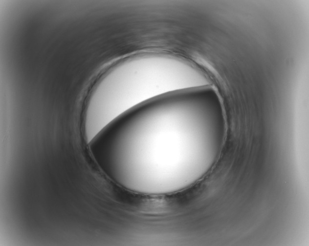 X0000089691315200706210826