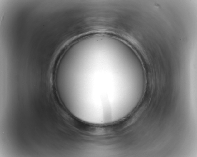 X0000089691318200706210826