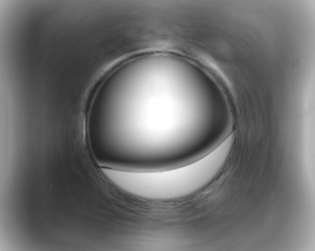 X0000089691320200706210826
