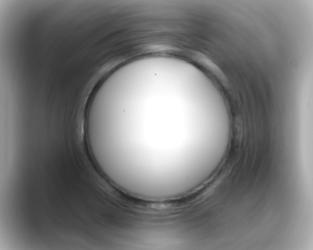 X0000089691322200706210826
