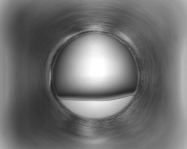X0000089691323200706210826