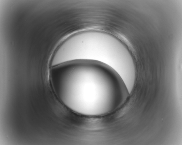 X0000089691324200706210826