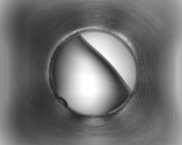 X0000089691327200706210826