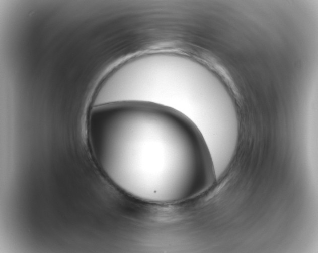 X0000089691328200706210826