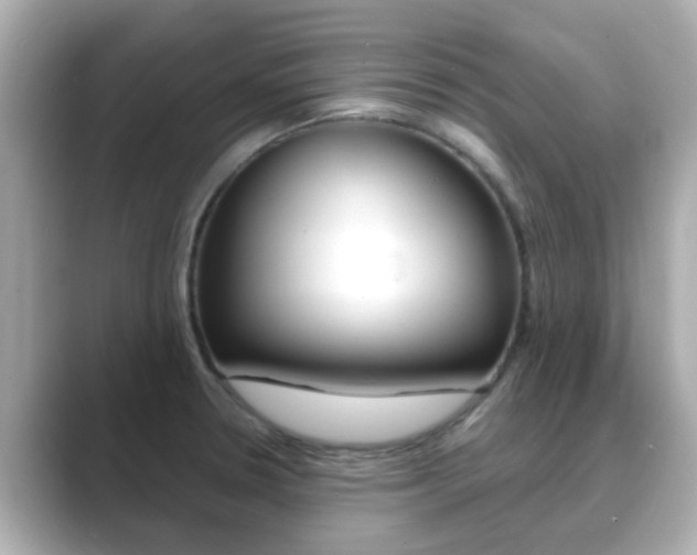 X0000089691330200706210826