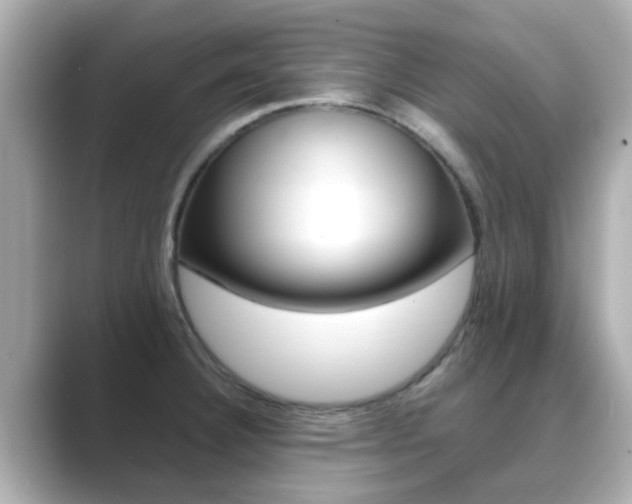 X0000089691332200706210826