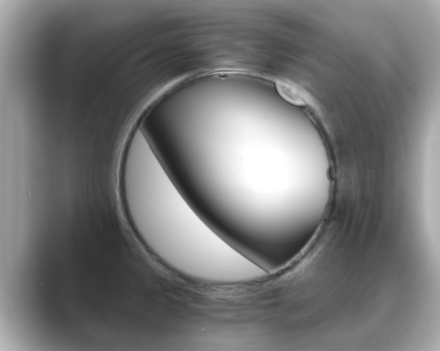 X0000089691333200706210826
