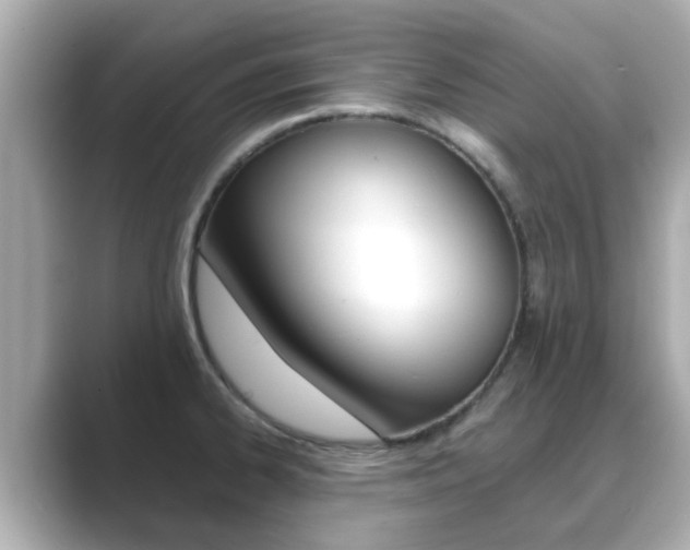 X0000089691334200706210826
