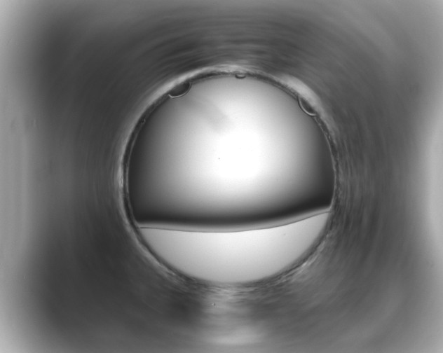 X0000089691335200706210826