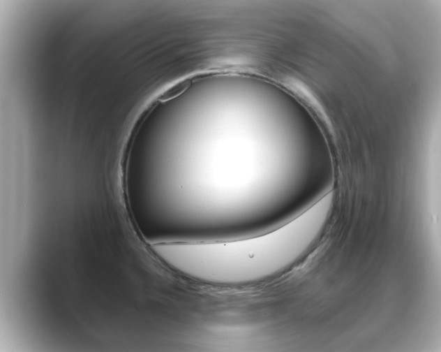 X0000089691336200706210826