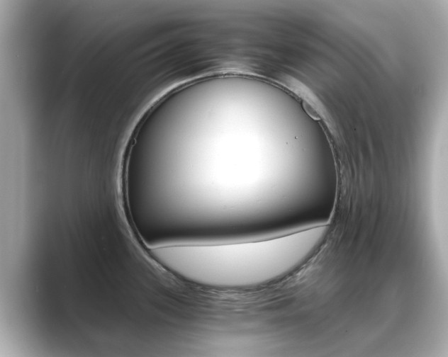 X0000089691339200706210826