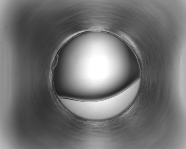 X0000089691340200706210826