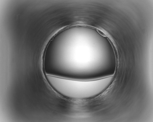 X0000089691341200706210826