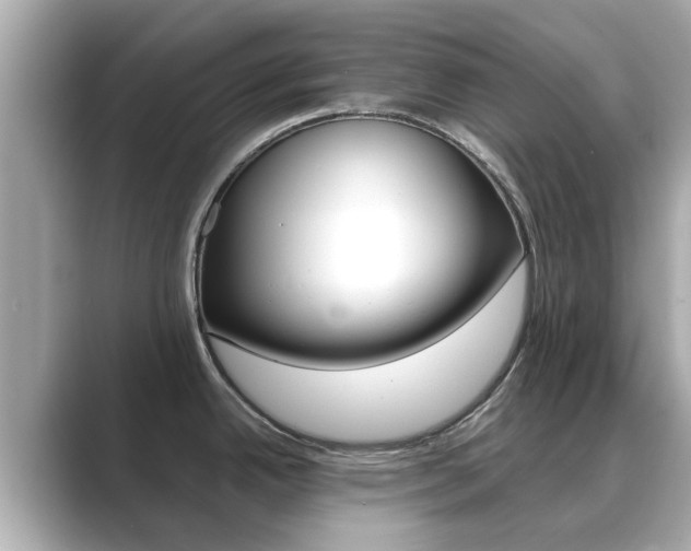 X0000089691342200706210826