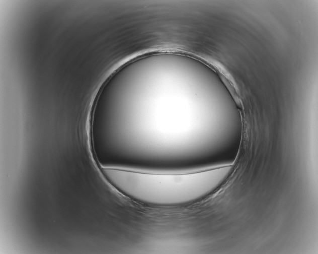 X0000089691343200706210826