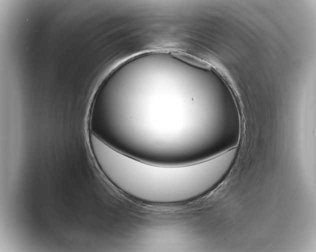 X0000089691344200706210826