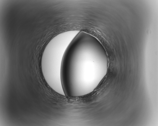 X0000089691345200706210826