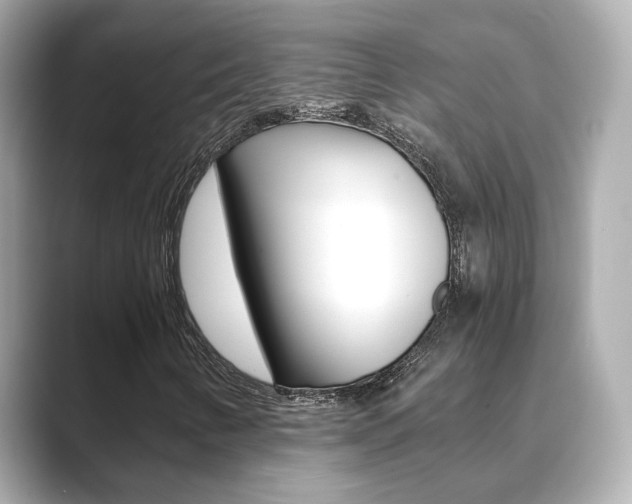 X0000089691346200706210826