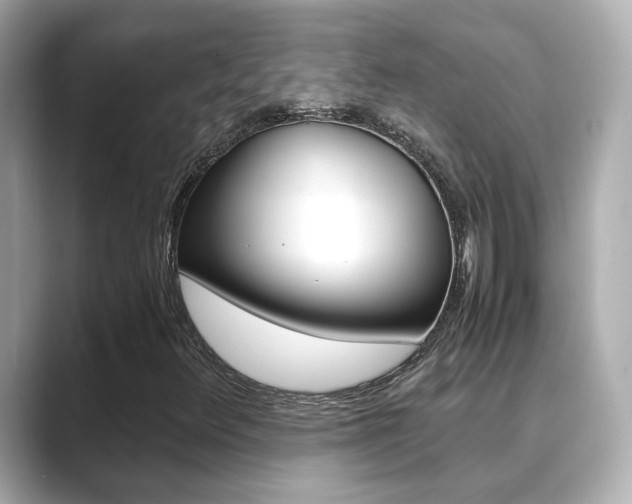 X0000089691348200706210826