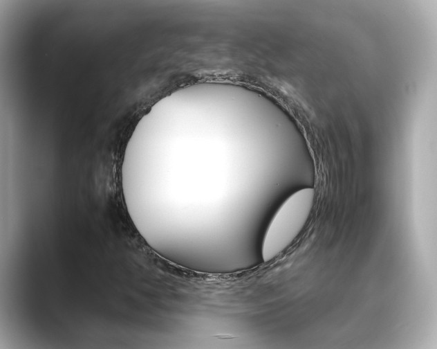 X0000089691350200706210826