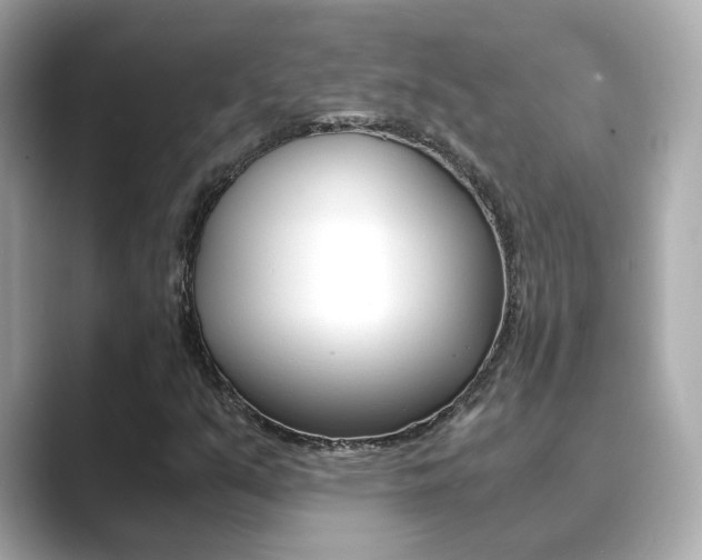 X0000089691351200706210826