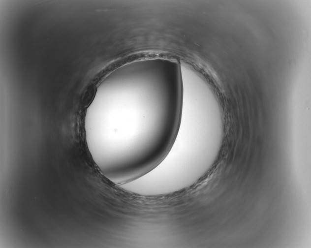 X0000089691352200706210826