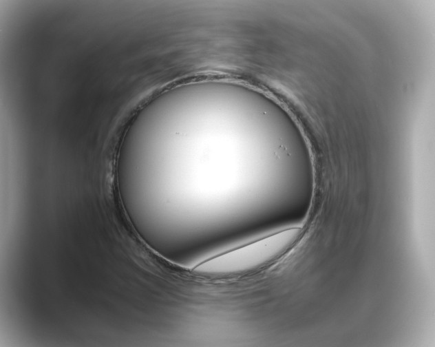 X0000089691355200706210826