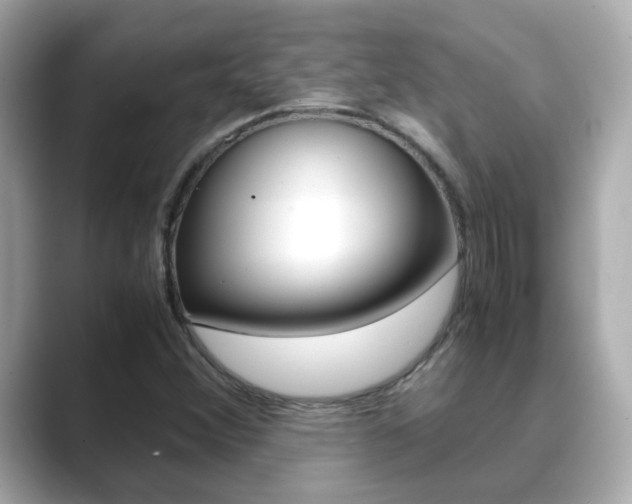 X0000089691356200706210826