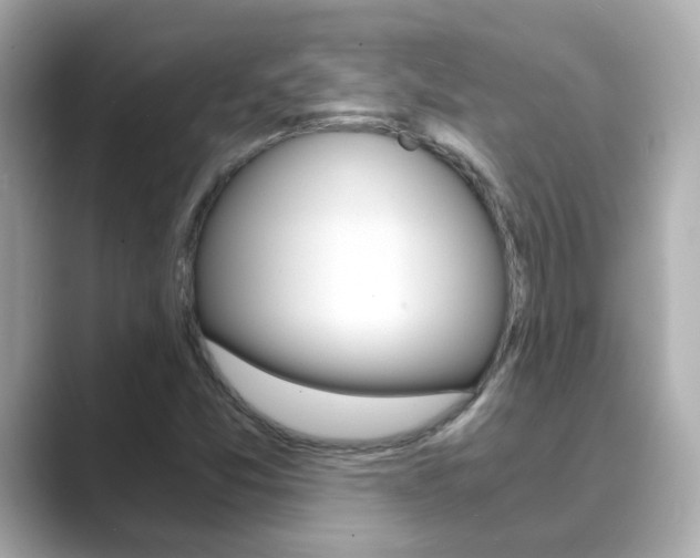 X0000089691357200706210826