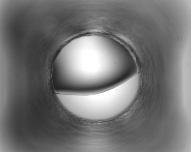 X0000089691359200706210826