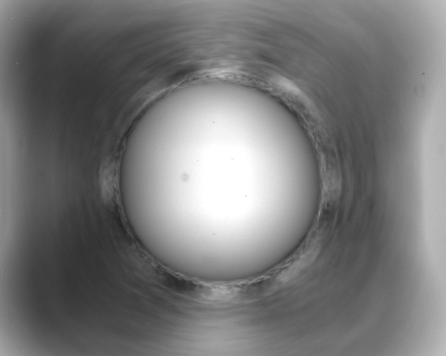 X0000089691361200706210826