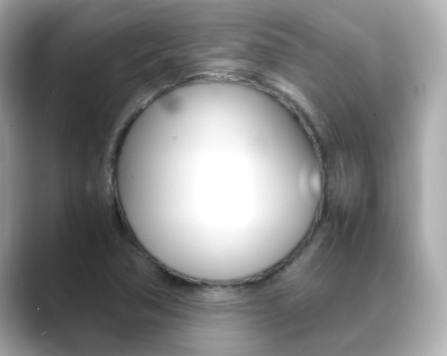 X0000089691362200706210826