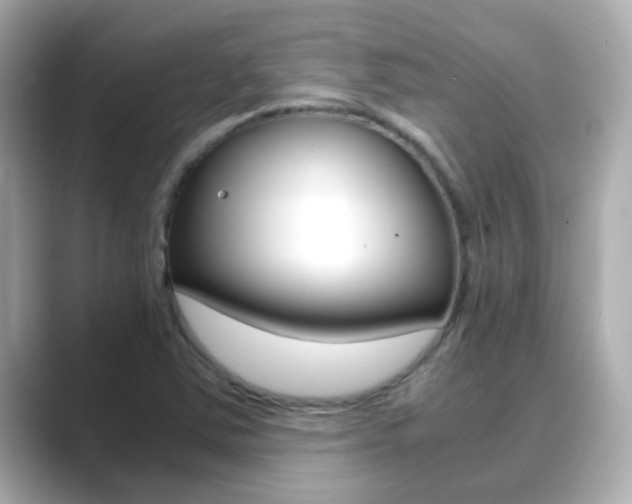 X0000089691363200706210826