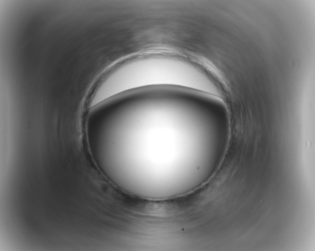 X0000089691364200706210825