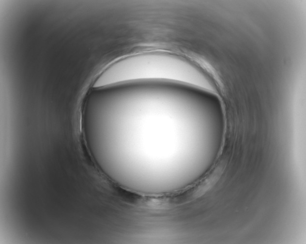 X0000089691365200706210825